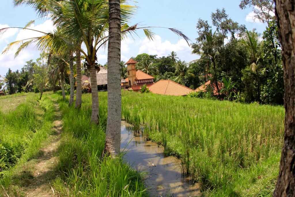Hotel Villa Ubud Exterior photo