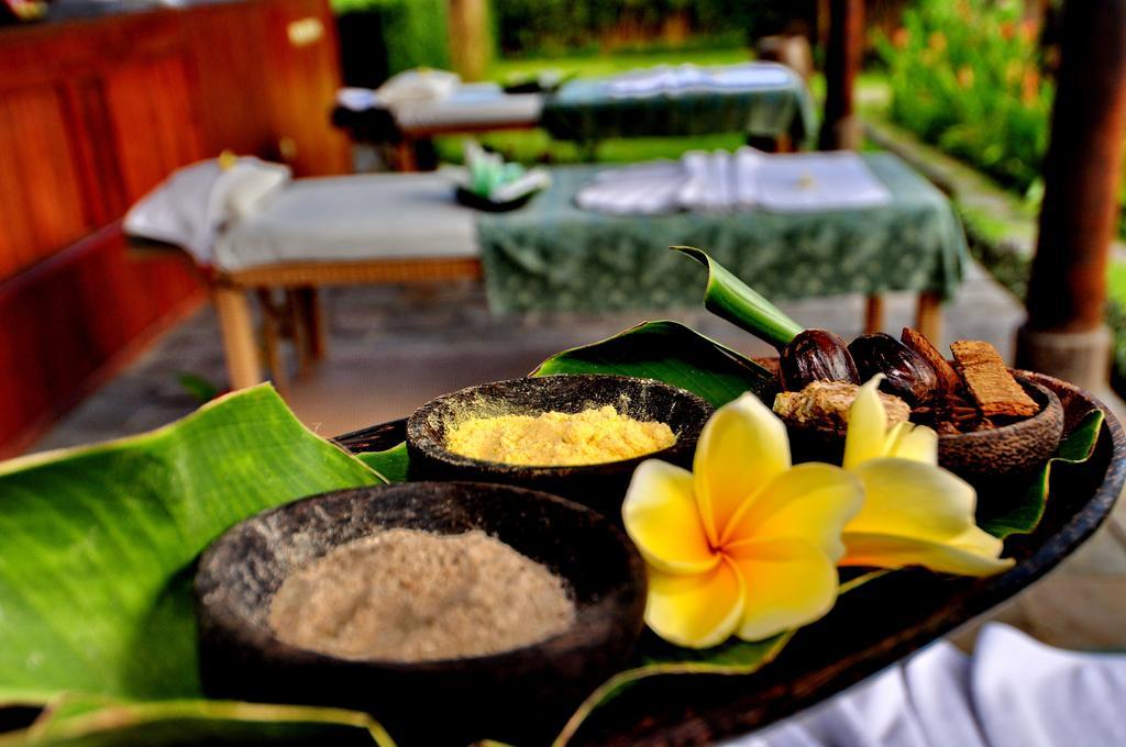 Hotel Villa Ubud Exterior photo